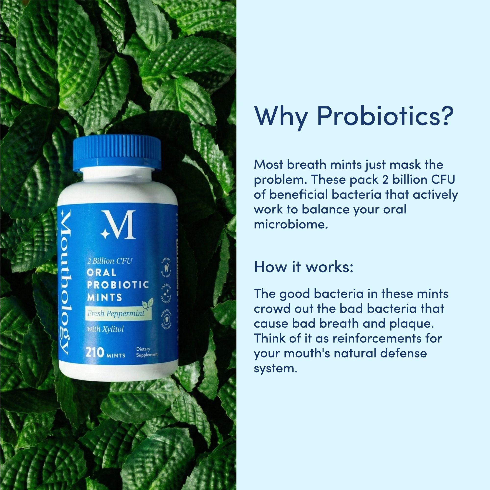 Mouthology Oral Probiotic Mints with Xylitol | Breath Mints