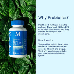 Oral Probiotic Mints