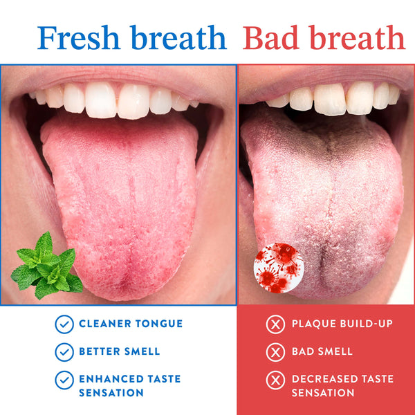 Single Handle Tongue Scraper 1-Pack (WS)